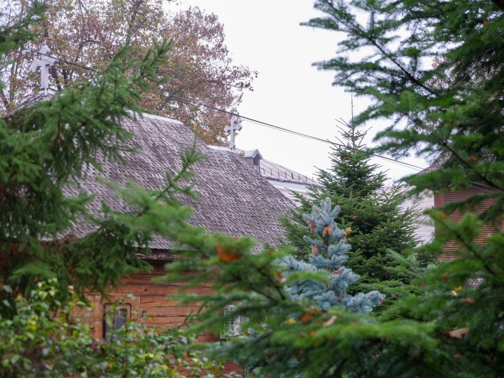 DSC07056