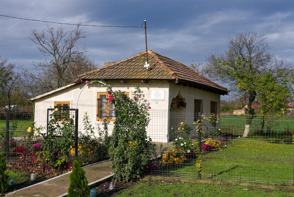 DSC07302