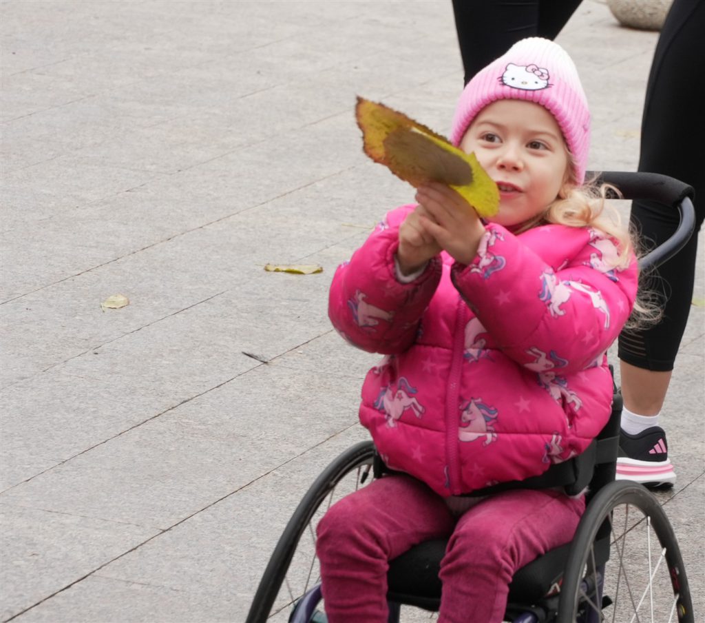 DSC08006