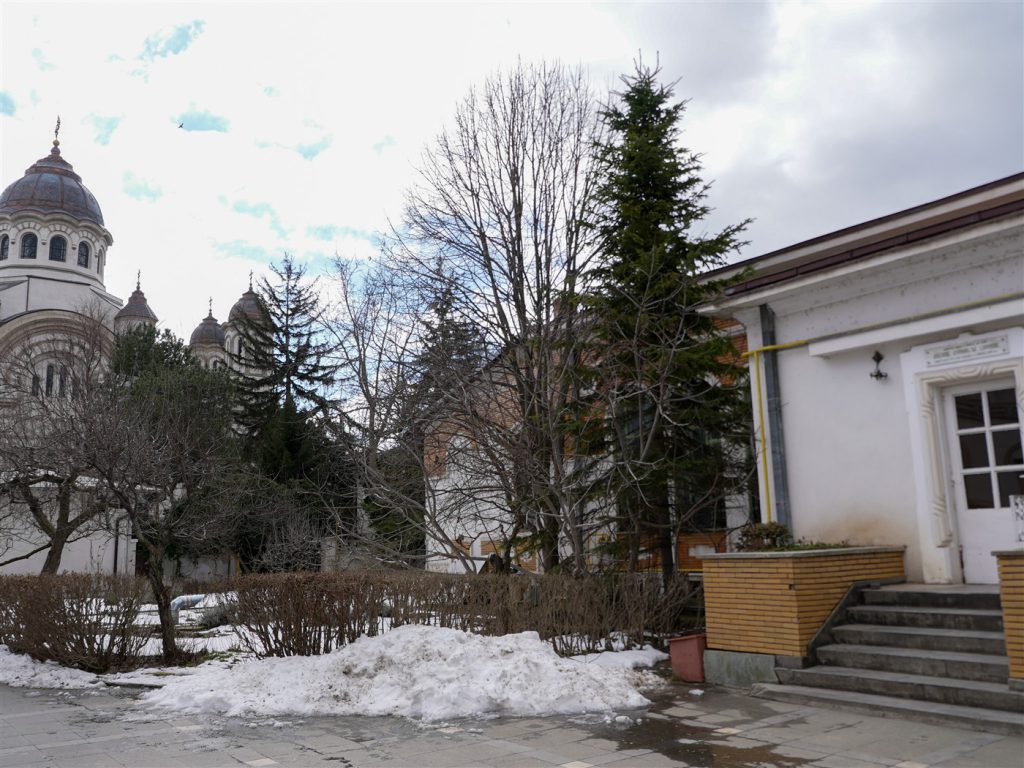 DSC01021