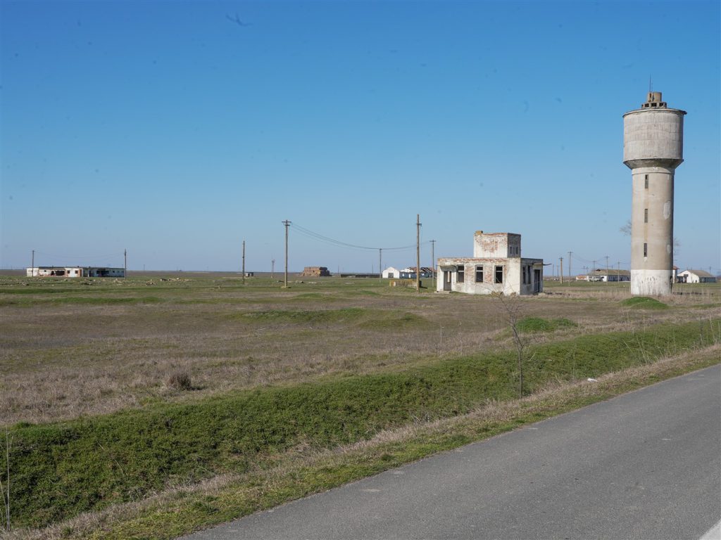 DSC02350