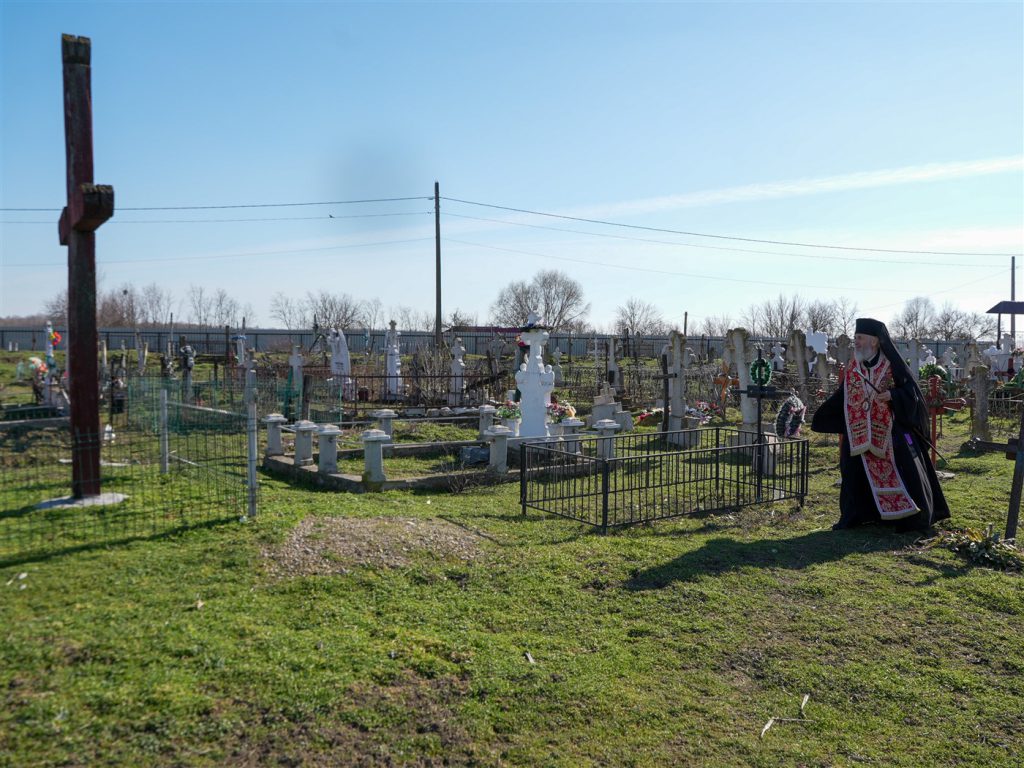 DSC02501