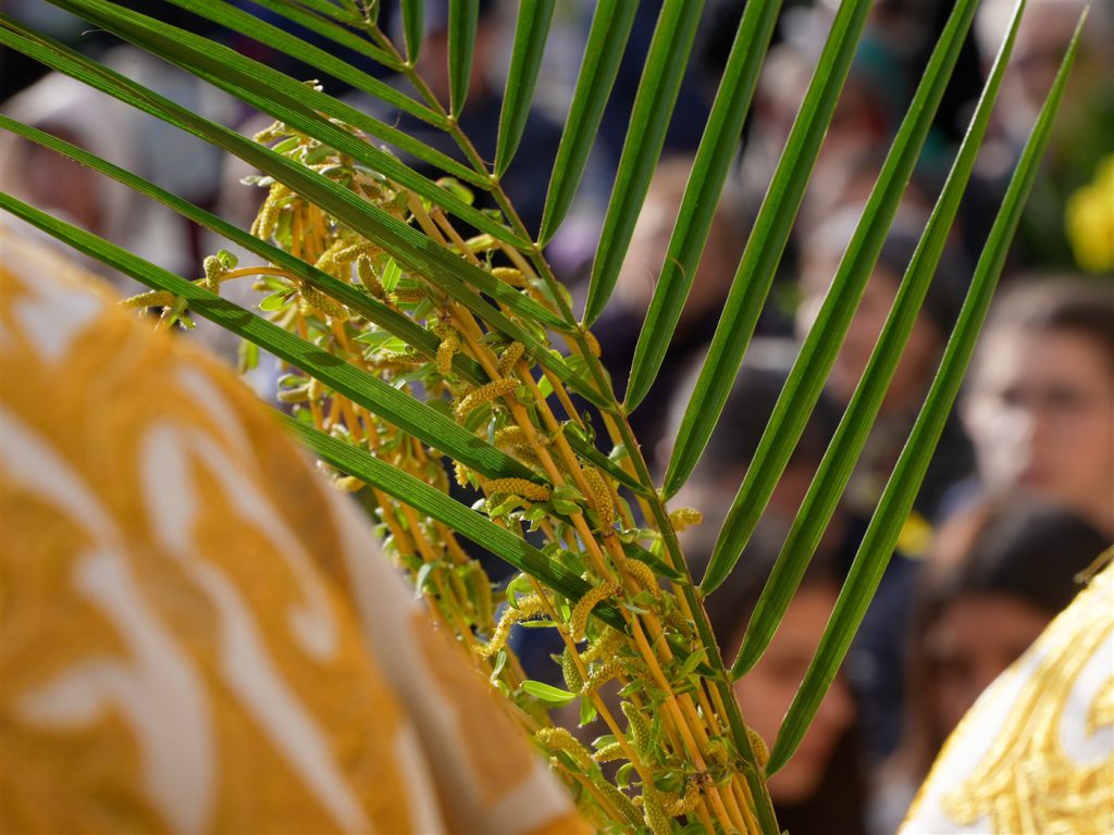 DSC05056