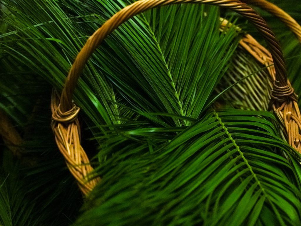 DSC05348