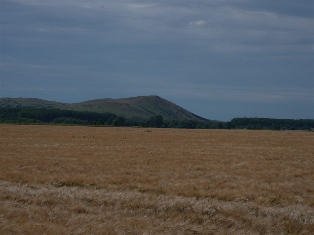DSC04467